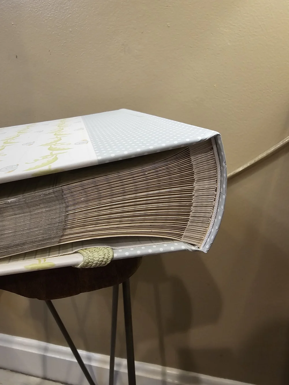 PIONEER Faux Brown Suede Photo Album And Peapod Design Photo